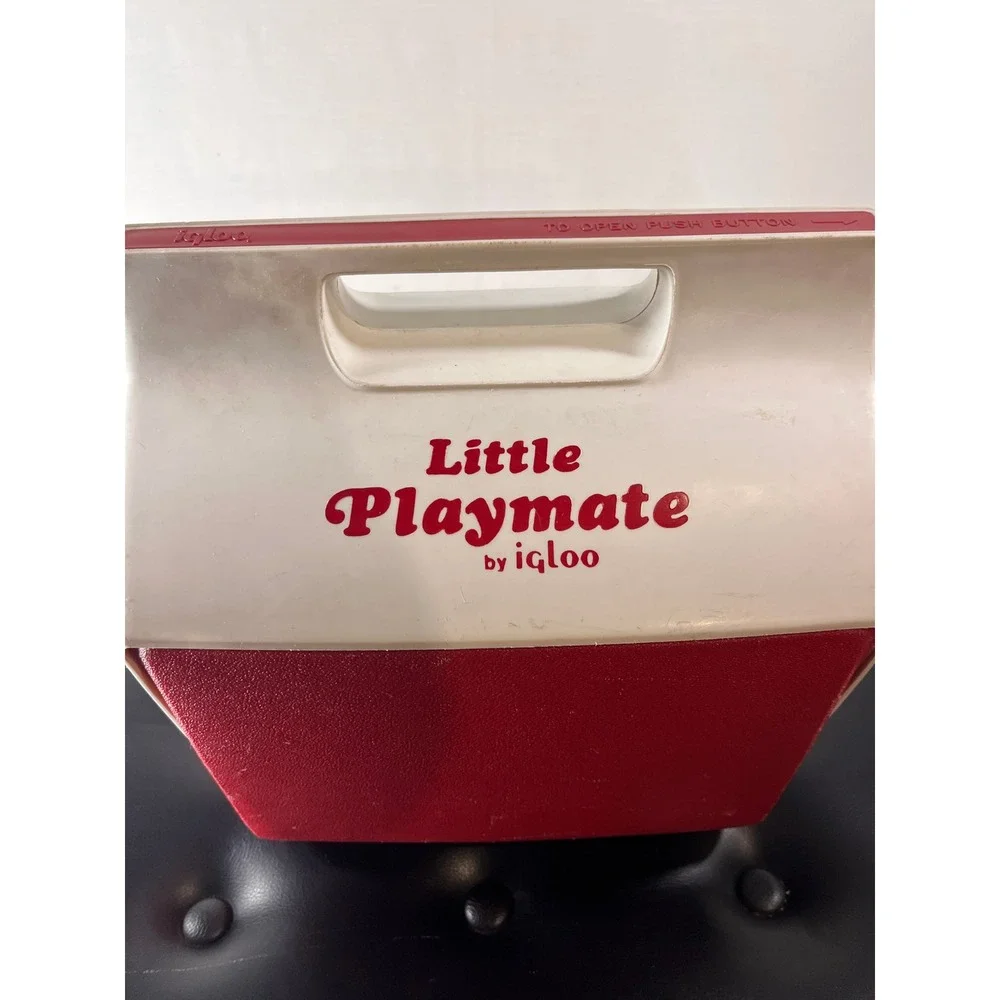 Igloo classic little